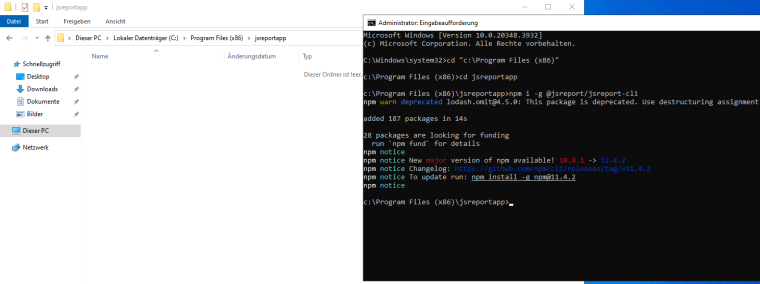 0_1752729121848_jsreport.png